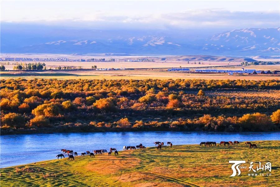 新疆阳光下的欢声笑语