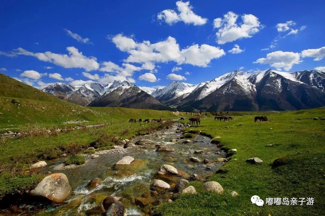 新疆阳光下的欢声笑语